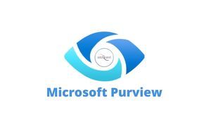 Announcing-Microsoft-Purview-You.jpg